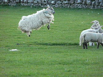 Farm Safety Awareness Day is t...